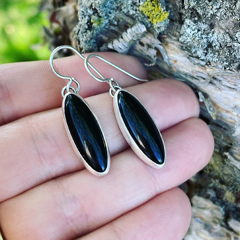 Thick ring earrings-Black Onyx and Sterling Silver Earrings