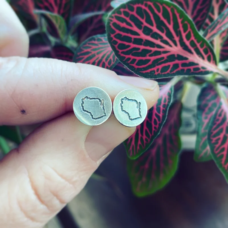 Thick ring earrings-Sterling Silver Wisconsin Post Earrings